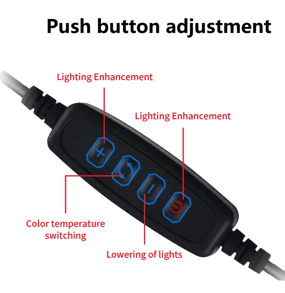 Dimmable Led Table Lamp