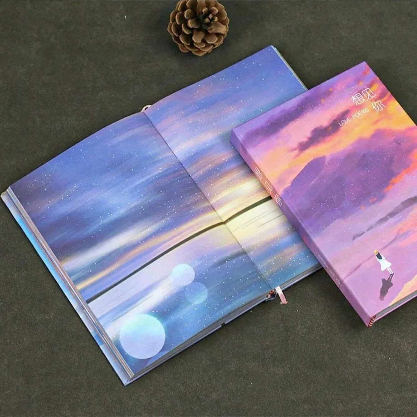 Hardcover Journal - with Sketchbook Original illustrations on every page