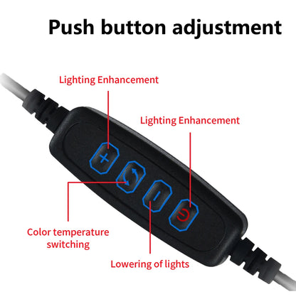 Dimmable Led Table Lamp