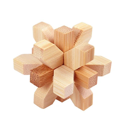 Wooden Brain Teasers Puzzle Games